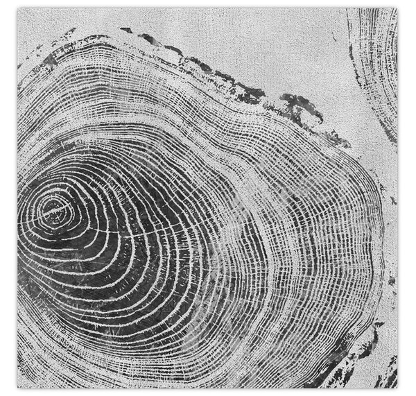 Obraz - Motiv stromu (30x30 cm)