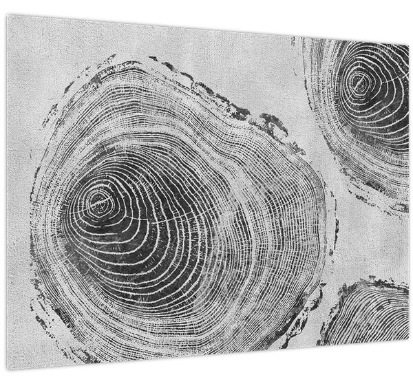 Obraz - Motiv stromu (70x50 cm)