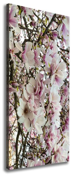 Vertikální Foto obraz na plátně Květy magnolie ocv-107287859