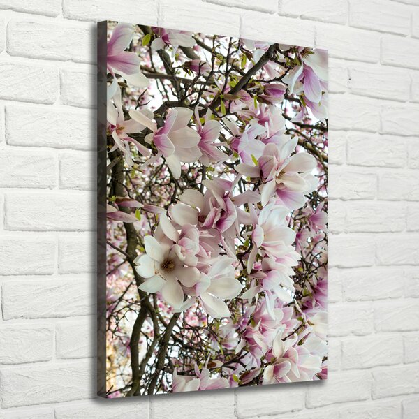 Vertikální Foto obraz na plátně Květy magnolie ocv-107287859