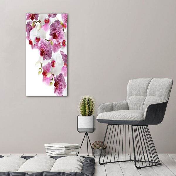 Vertikální Vertikální Foto obraz na plátně do obýváku Orchidej ocv-107506962