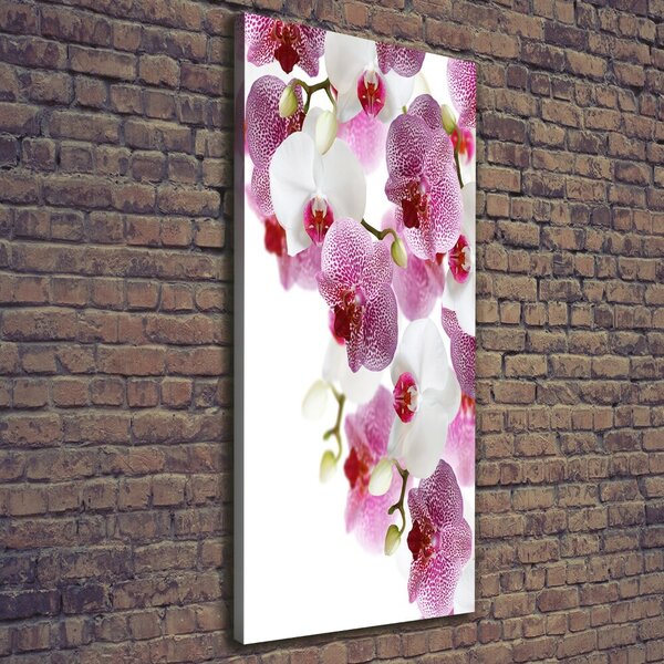 Vertikální Vertikální Foto obraz na plátně do obýváku Orchidej ocv-107506962