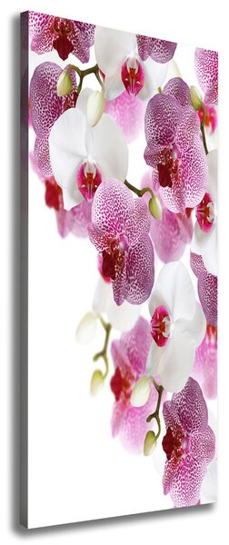 Vertikální Vertikální Foto obraz na plátně do obýváku Orchidej ocv-107506962