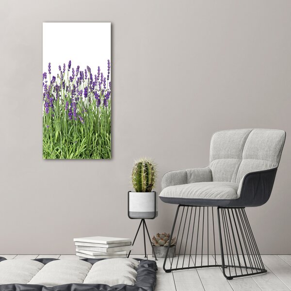 Vertikální Foto obraz canvas Pole levandule ocv-107877649