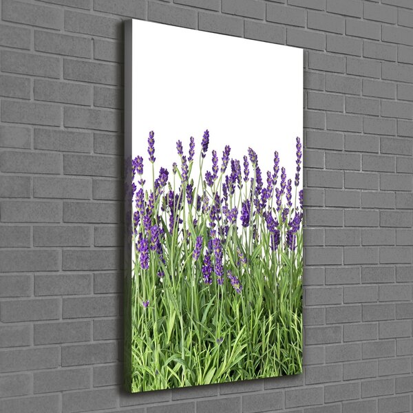 Vertikální Foto obraz canvas Pole levandule ocv-107877649