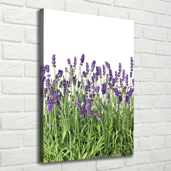 Vertikální Foto obraz canvas Pole levandule ocv-107877649