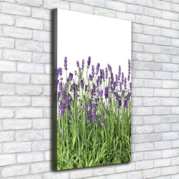 Vertikální Foto obraz canvas Pole levandule ocv-107877649