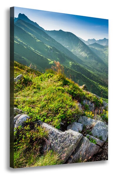 Vertikální Vertikální Foto obraz na plátně do obýváku Hory létem ocv-108007385