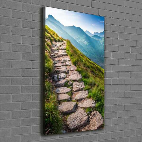 Vertikální Foto obraz canvas Horská stezka ocv-108007408