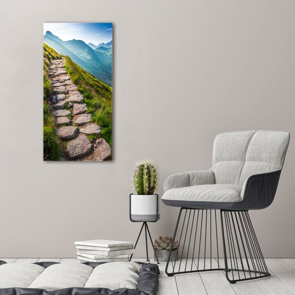 Vertikální Foto obraz canvas Horská stezka ocv-108007408
