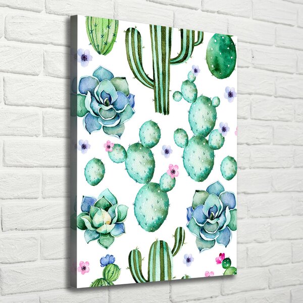 Vertikální Moderní obraz canvas na rámu Kaktusy ocv-108266665