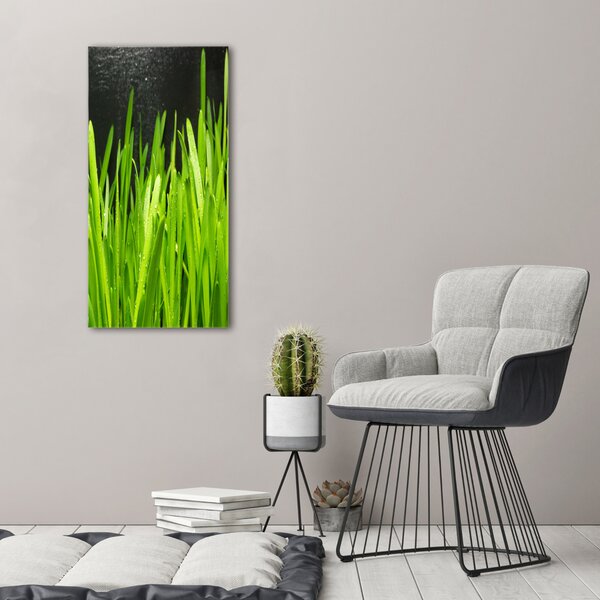 Vertikální Foto obraz canvas Stéblo trávy ocv-108879645