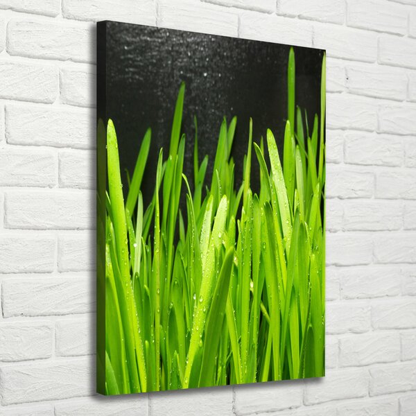 Vertikální Foto obraz canvas Stéblo trávy ocv-108879645
