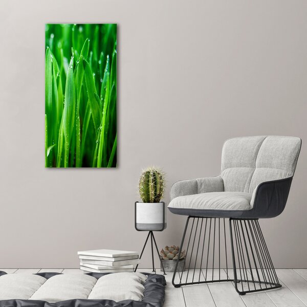 Vertikální Foto obraz canvas Stéblo trávy ocv-109527369