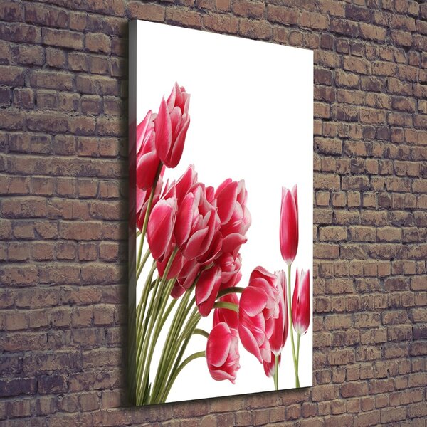 Vertikální Foto obraz na plátně Červené tulipány ocv-109710799