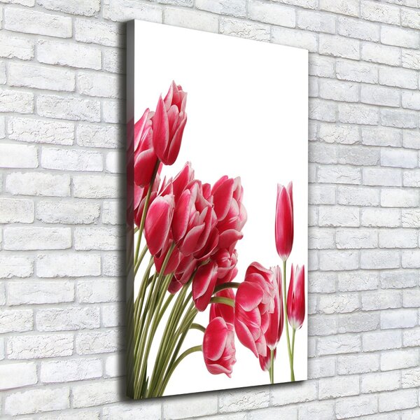 Vertikální Foto obraz na plátně Červené tulipány ocv-109710799