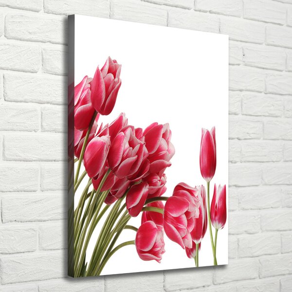 Vertikální Foto obraz na plátně Červené tulipány ocv-109710799