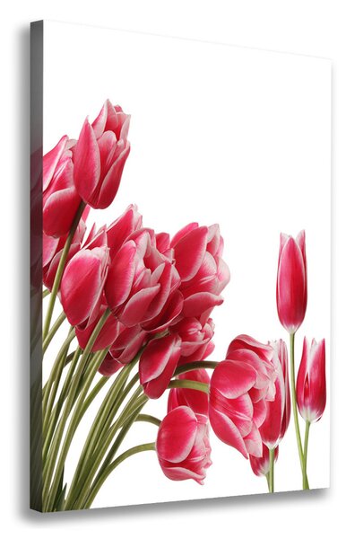 Vertikální Foto obraz na plátně Červené tulipány ocv-109710799