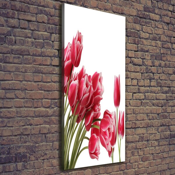 Vertikální Foto obraz na plátně Červené tulipány ocv-109710799