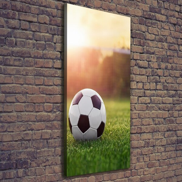 Vertikální Vertikální Foto obraz na plátně do obýváku Fotbal ocv-110116373