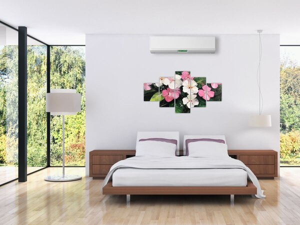 Obraz - Růžové a bílé květy (125x70 cm)