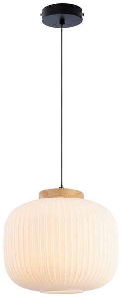 ZÁVĚSNÉ SVÍTIDLO, 25/120 cm Collett's Monde - Online Only svítidla, Online Only