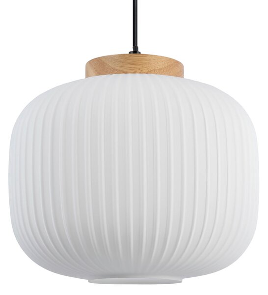 ZÁVĚSNÉ SVÍTIDLO, 25/120 cm Collett's Monde - Online Only svítidla, Online Only