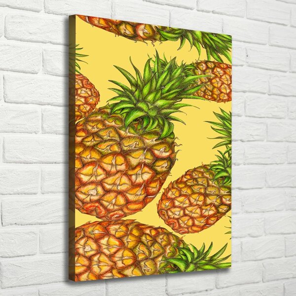 Vertikální Moderní obraz canvas na rámu Ananasy ocv-112911830