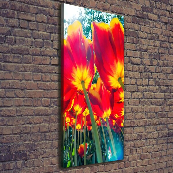 Vertikální Foto obraz na plátně Červené tulipány ocv-113693972