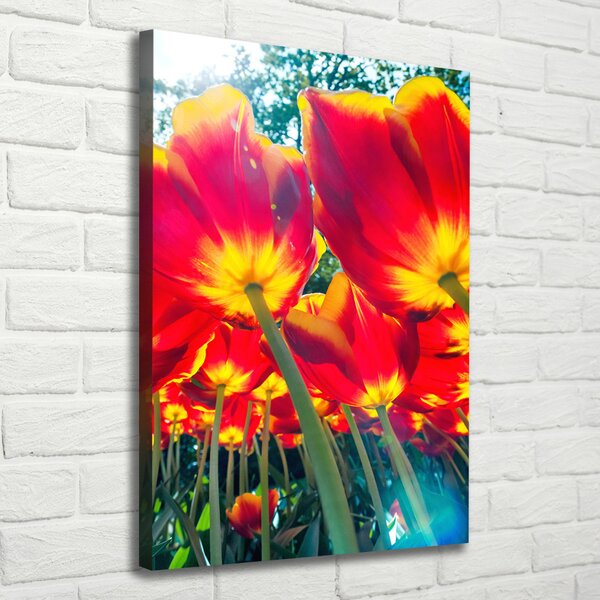 Vertikální Foto obraz na plátně Červené tulipány ocv-113693972