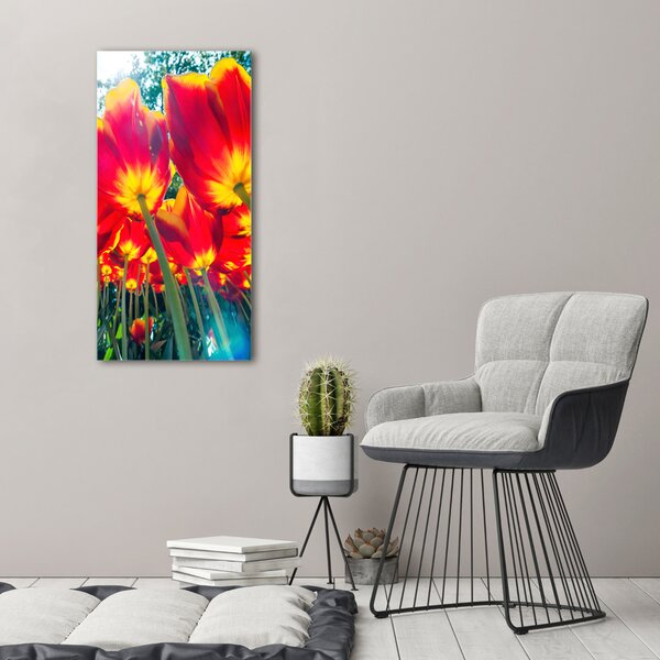 Vertikální Foto obraz na plátně Červené tulipány ocv-113693972
