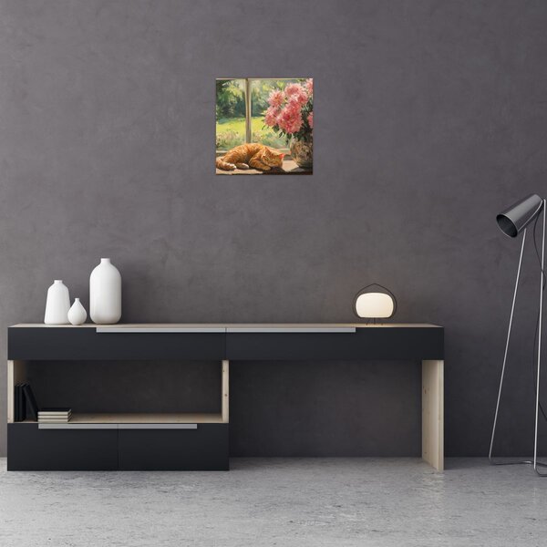 Obraz - Kočka na okně (30x30 cm)