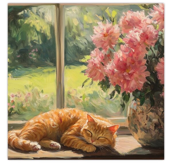 Obraz - Kočka na okně (30x30 cm)
