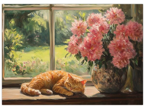 Obraz - Kočka na okně (70x50 cm)