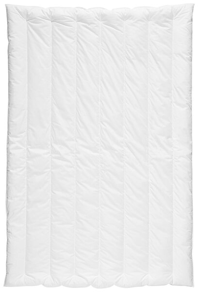 CELOROČNÍ PŘIKRÝVKA, 135/200 cm, polyester Centa-Star - Přikrývky, Online Only