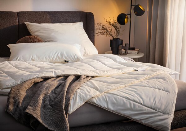 CELOROČNÍ PŘIKRÝVKA, 135/200 cm, polyester Centa-Star - Přikrývky, Online Only
