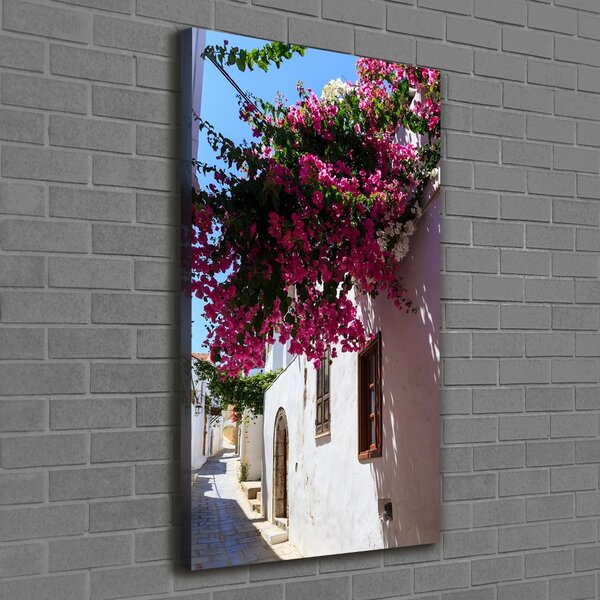 Vertikální Foto obraz canvas Rhodos Řecko ocv-114529203