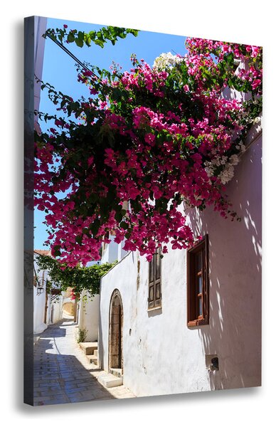 Vertikální Foto obraz canvas Rhodos Řecko ocv-114529203