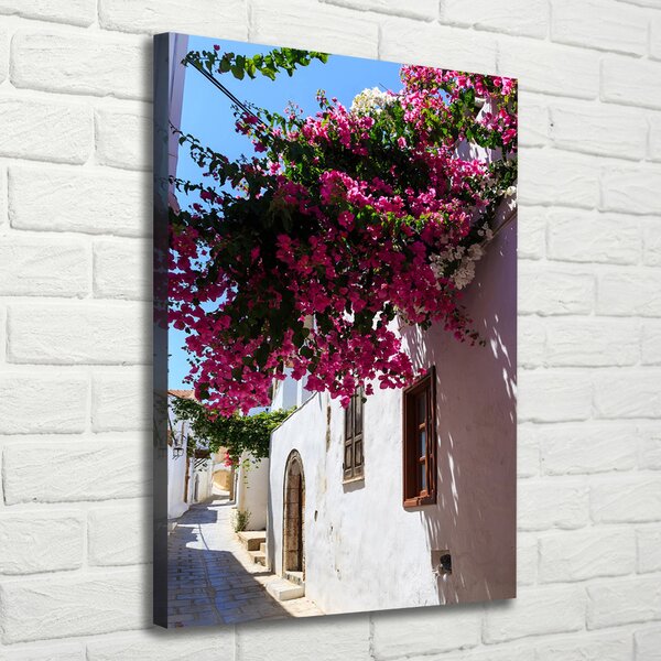 Vertikální Foto obraz canvas Rhodos Řecko ocv-114529203