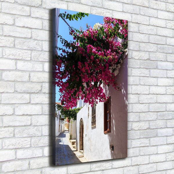 Vertikální Foto obraz canvas Rhodos Řecko ocv-114529203