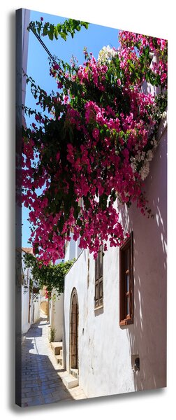 Vertikální Foto obraz canvas Rhodos Řecko ocv-114529203