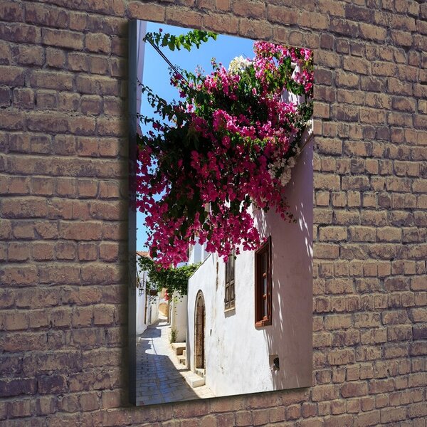 Vertikální Foto obraz canvas Rhodos Řecko ocv-114529203