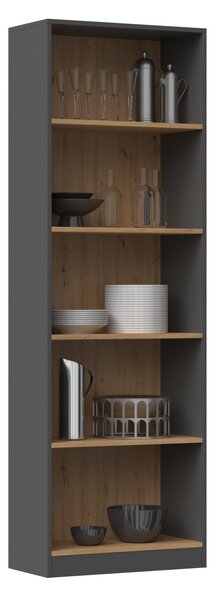 TP Living Knihovna R60 antracit/dub artisan