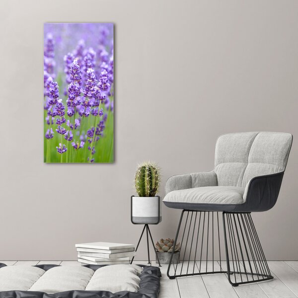 Vertikální Foto obraz canvas Pole levandule ocv-115973542