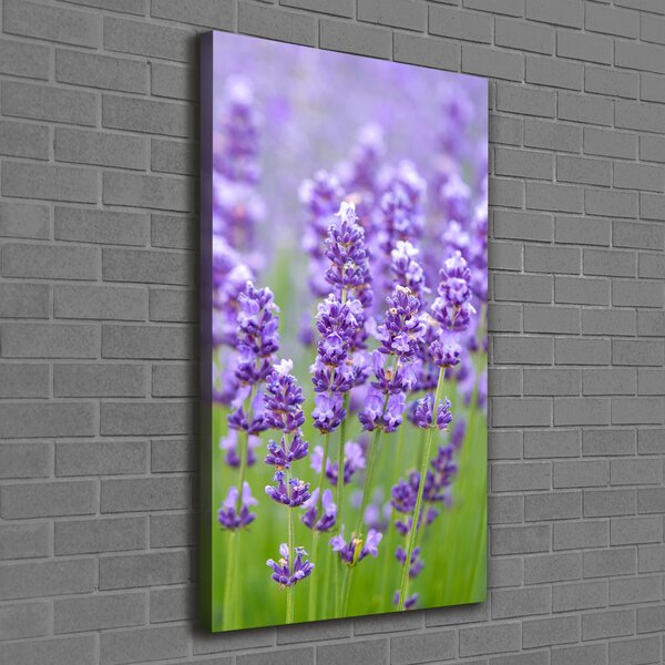 Vertikální Foto obraz canvas Pole levandule ocv-115973542
