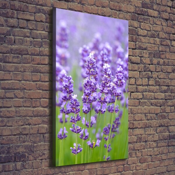 Vertikální Foto obraz canvas Pole levandule ocv-115973542