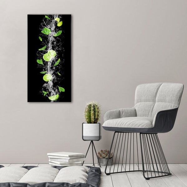 Vertikální Moderní obraz canvas na rámu Limetky ocv-117168887