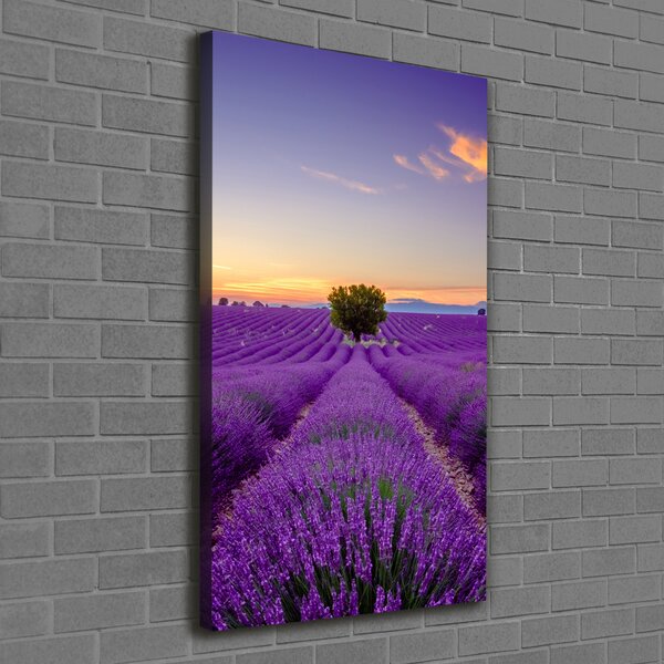 Vertikální Foto obraz canvas Pole levandule ocv-116891054