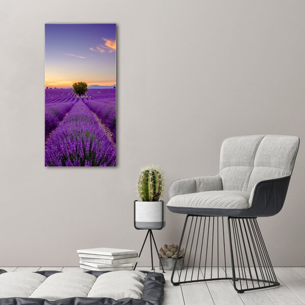 Vertikální Foto obraz canvas Pole levandule ocv-116891054