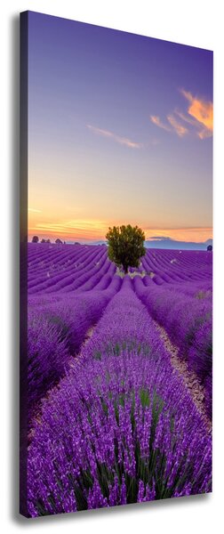 Vertikální Foto obraz canvas Pole levandule ocv-116891054